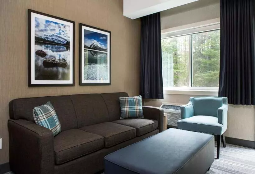 اتاق استاندارد با تخت بزرگ برای معلولان, Mountaineer Lodge