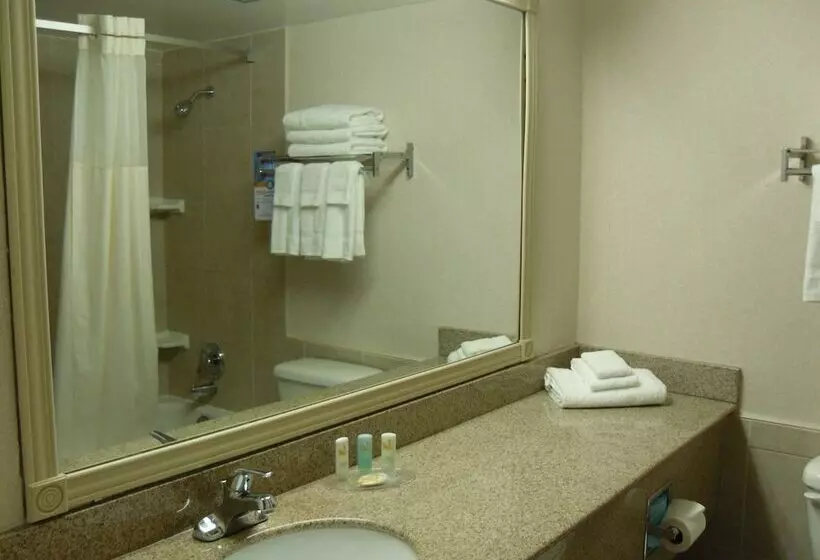 ２ダブルベッドのスタンダードルーム, Quality Inn Owen Sound