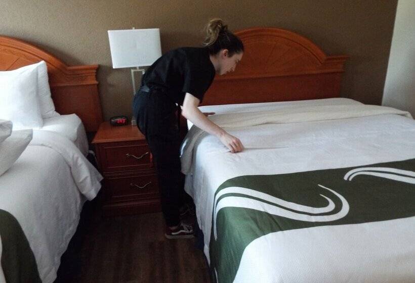 带2个双人床的标准工作室, Quality Inn Owen Sound