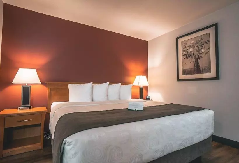 Sviitti, Quality Inn & Suites