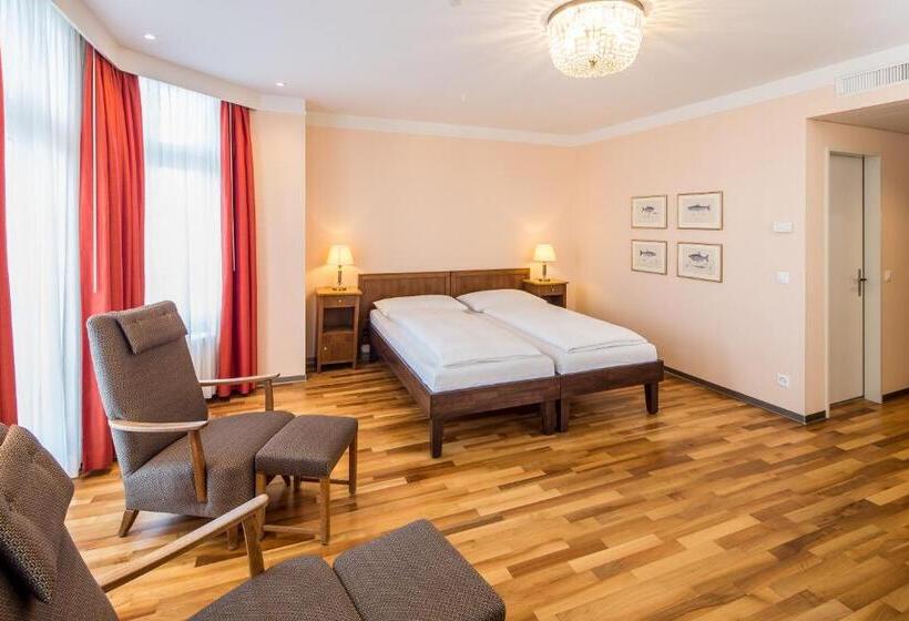 スタンダードルーム, Schweizerhof Basel