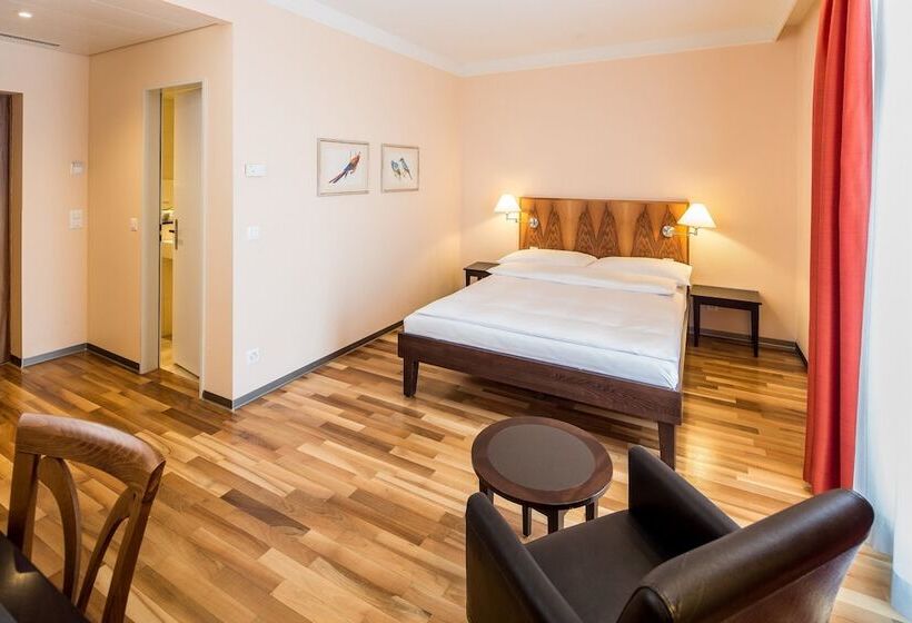 Номер бизнес-класса, Schweizerhof Basel