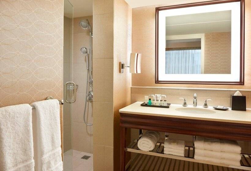 Номер Стандарт Двуспальная Кровать, Sheraton Centre Toronto