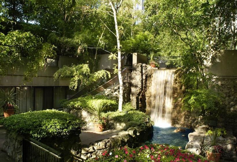 Номер Стандарт Двуспальная Кровать, Sheraton Centre Toronto