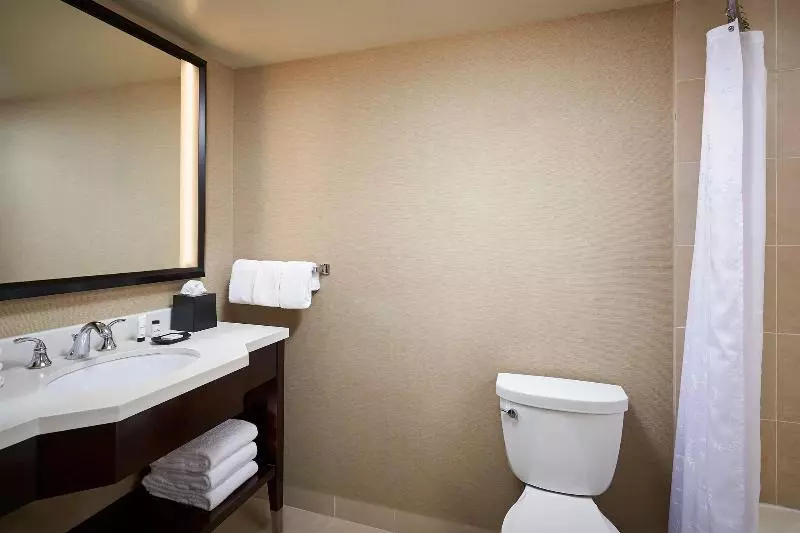 اتاق استاندارد با تخت بزرگ, Sheraton Hamilton