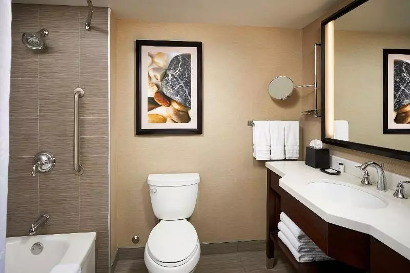اتاق استاندارد با تخت بزرگ, Sheraton Hamilton