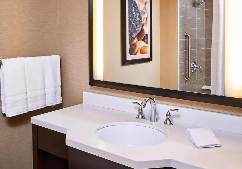 اتاق استاندارد با تخت بزرگ, Sheraton Hamilton