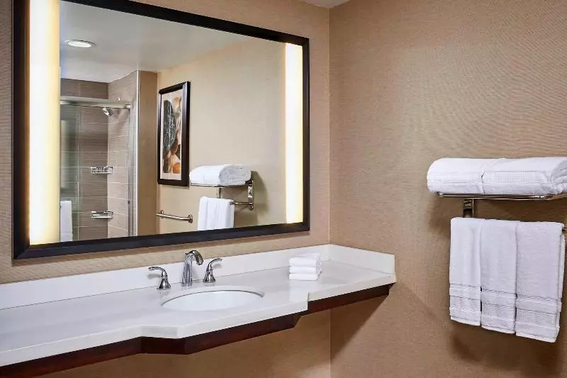 اتاق استاندارد با تخت بزرگ, Sheraton Hamilton