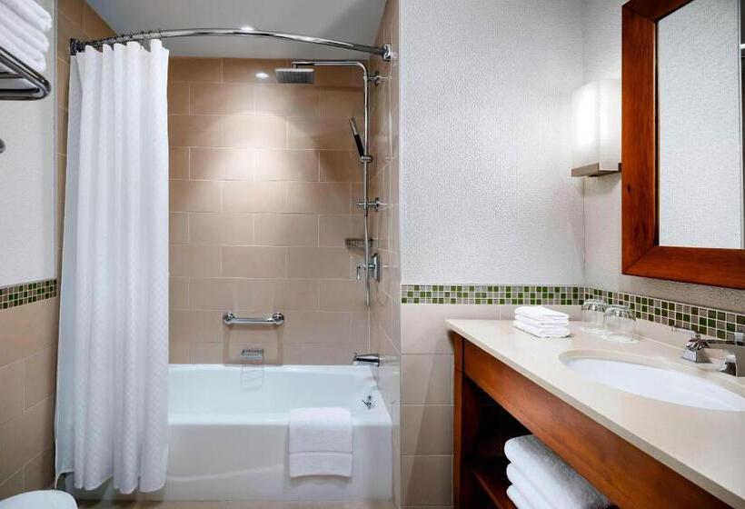 景色の見えるデラックスルーム, The Westin Bayshore, Vancouver