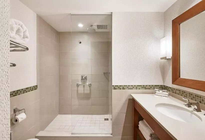 اتاق دلوکس با تخت کینگ و چشمانداز, The Westin Bayshore, Vancouver