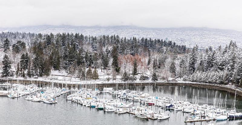 غرفة بريميوم, The Westin Bayshore, Vancouver