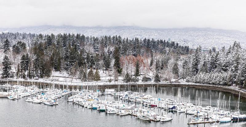 キングサイズベッドのスタンダードルーム, The Westin Bayshore, Vancouver