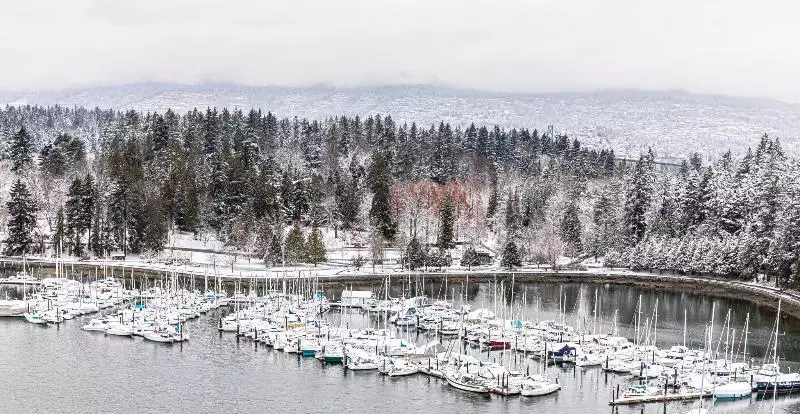 اتاق استاندارد با تخت بزرگ, The Westin Bayshore, Vancouver