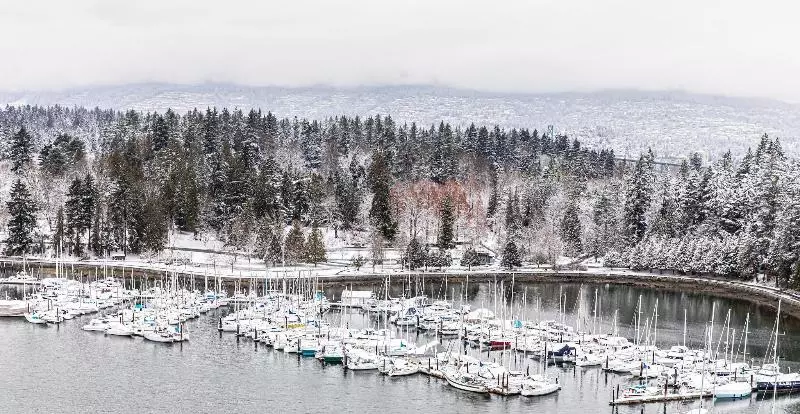 اتاق استاندارد با تخت بزرگ, The Westin Bayshore, Vancouver