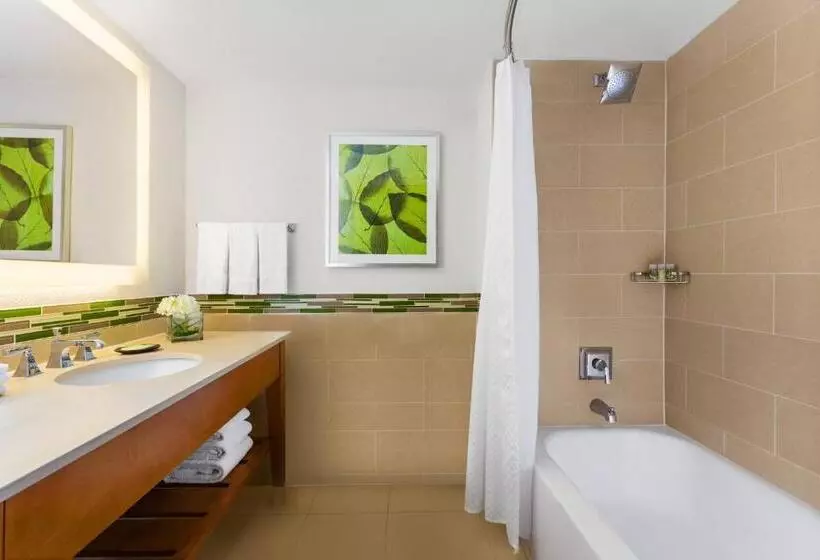 景色の見えるデラックスルーム, The Westin Ottawa