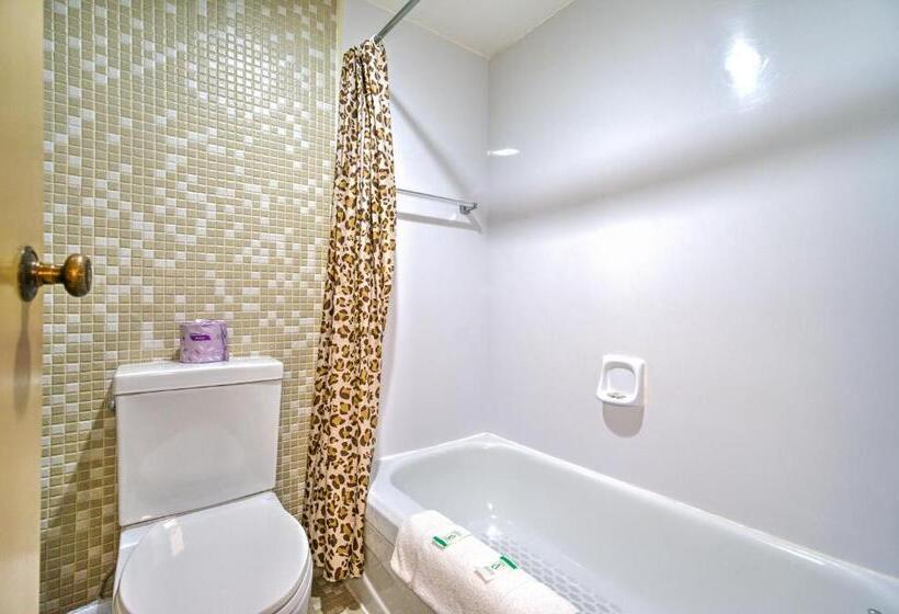 스탠다드 룸, Motel Penn   Mass