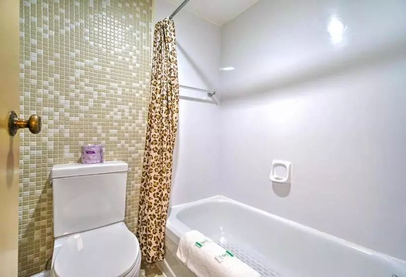 Standard-huone, Motel Penn   Mass