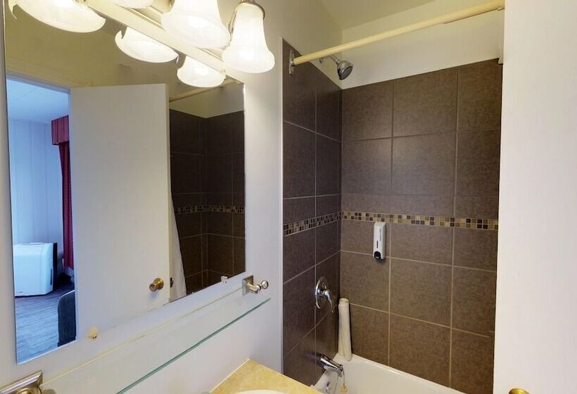 غرفه قياسيه سريرين مزدوجين, Riotel Perce