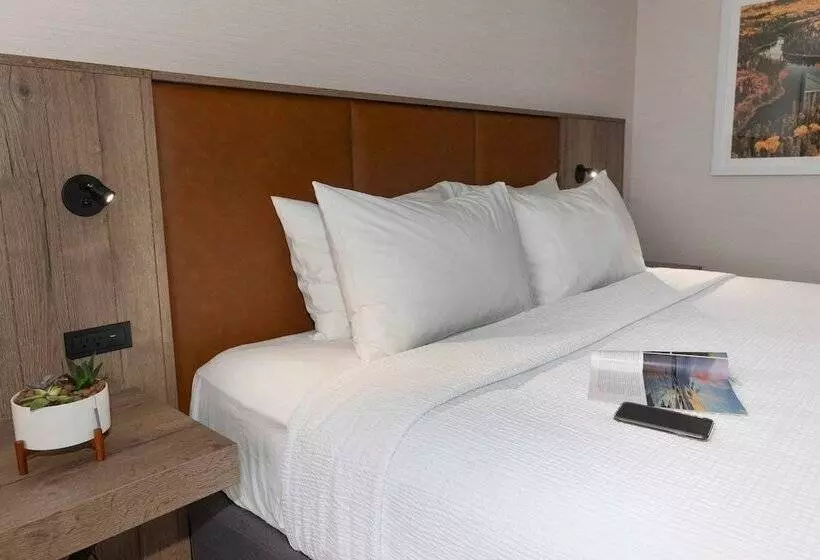 スタンダードルーム, Valhalla Hotel & Conference Centre