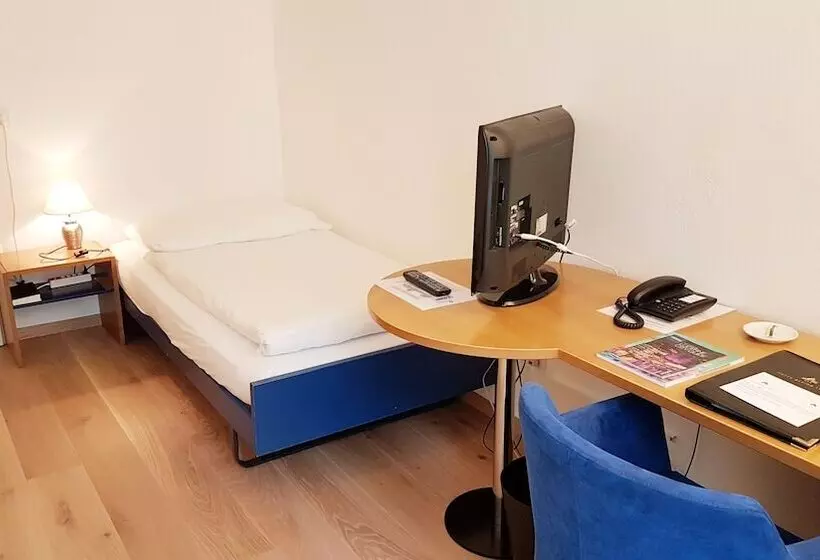 اتاق استاندارد یک نفره, Alpina Luzern