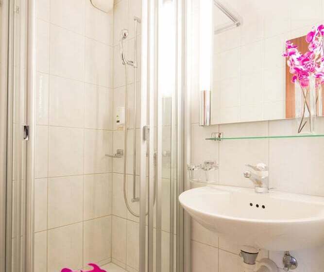 חדר סטנדרט יחיד, Ambassador