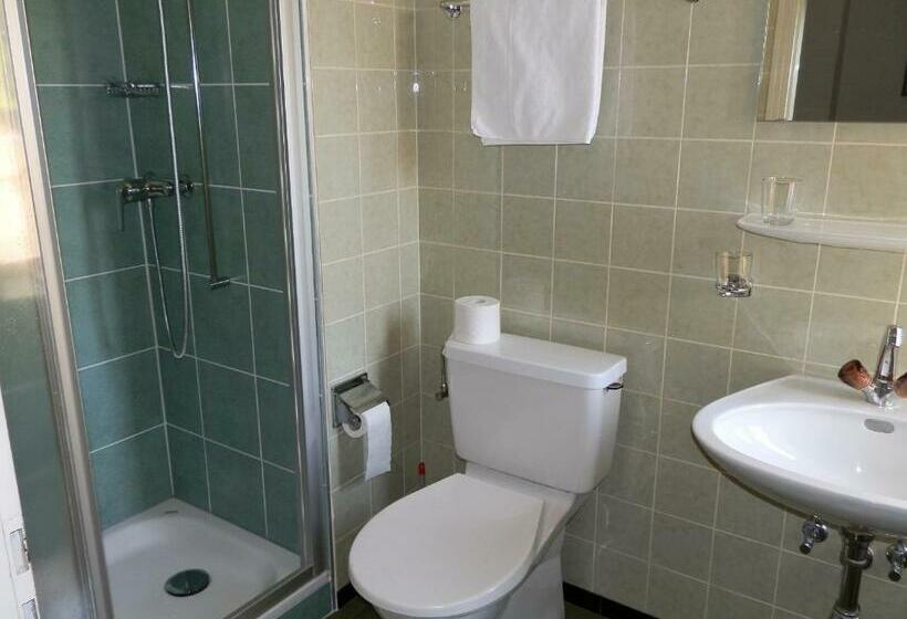 غرفة قياسية فردية, Defanti