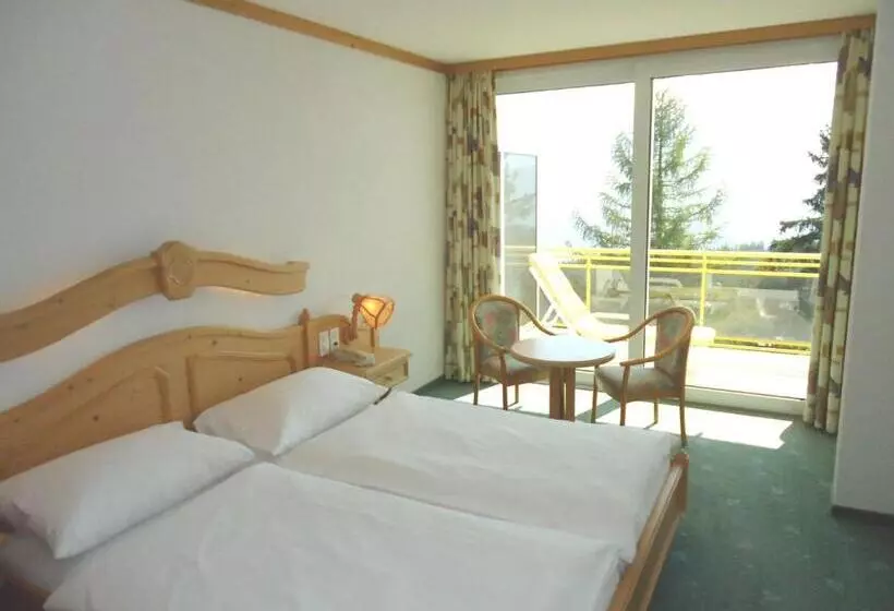 デラックスルーム, Grand Hôtel Du Parc