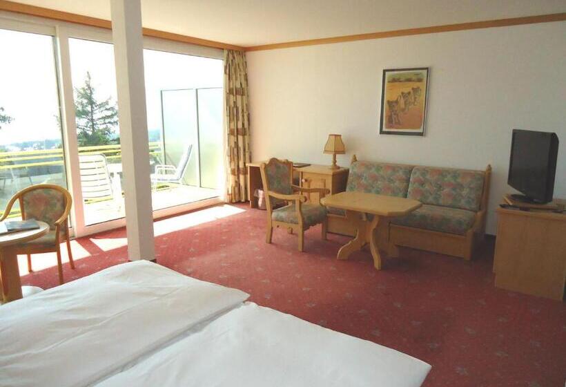 سوییت جونیور با بالکن, Grand Hôtel Du Parc