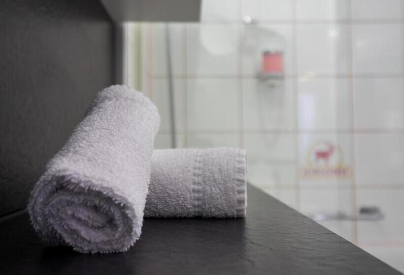 标准间, Hirschen Grindelwald