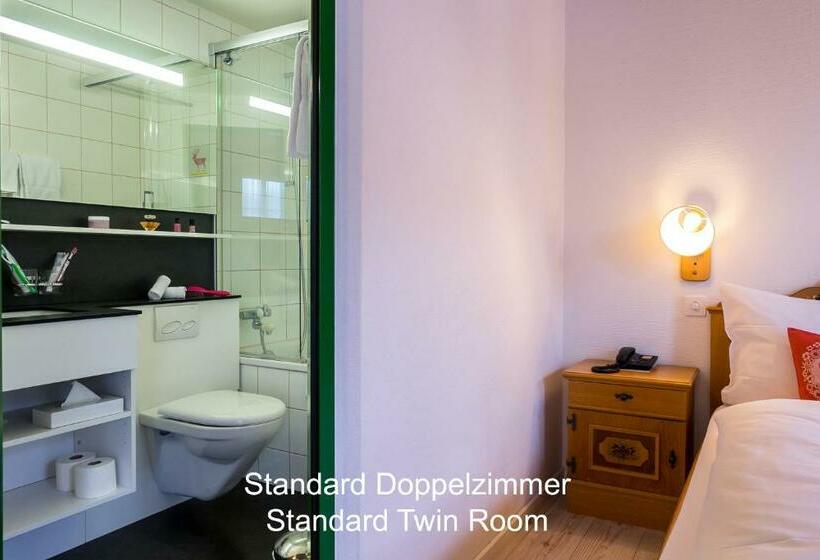 标准间, Hirschen Grindelwald