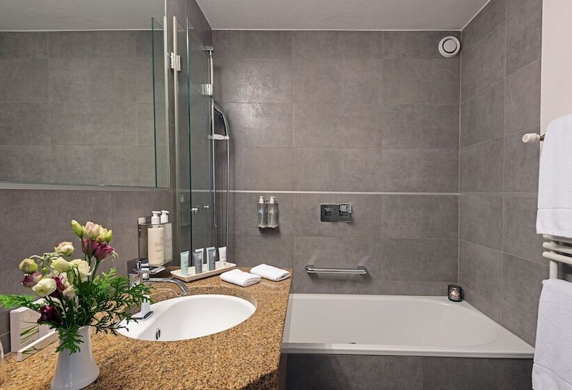 اتاق استاندارد, Le Mirabeau Resort & Spa Zermatt