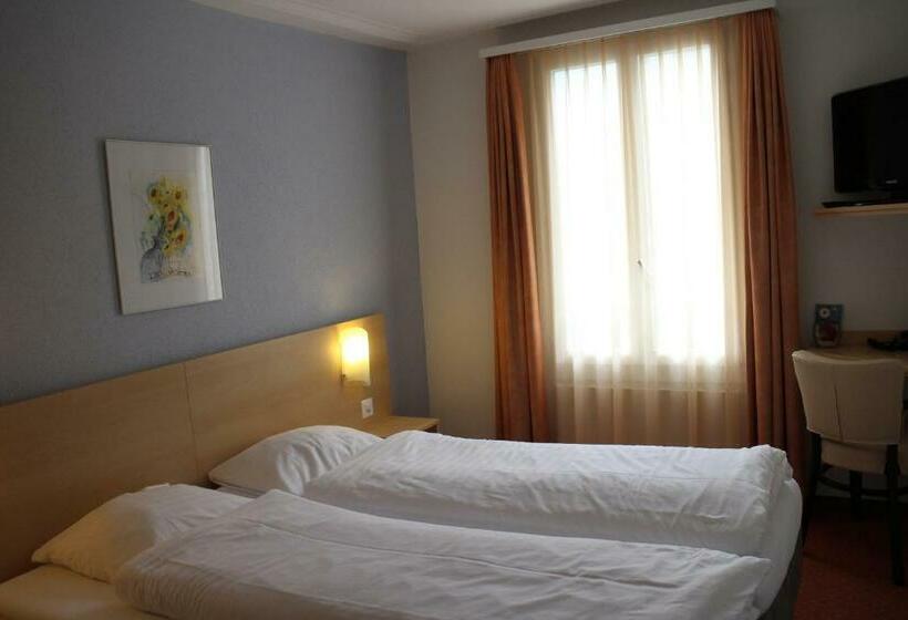 スタンダードシングルルーム, Rigi Vitznau