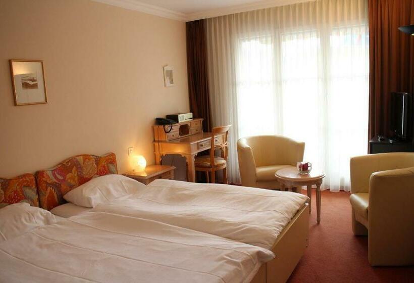 高级大房间, Rigi Vitznau