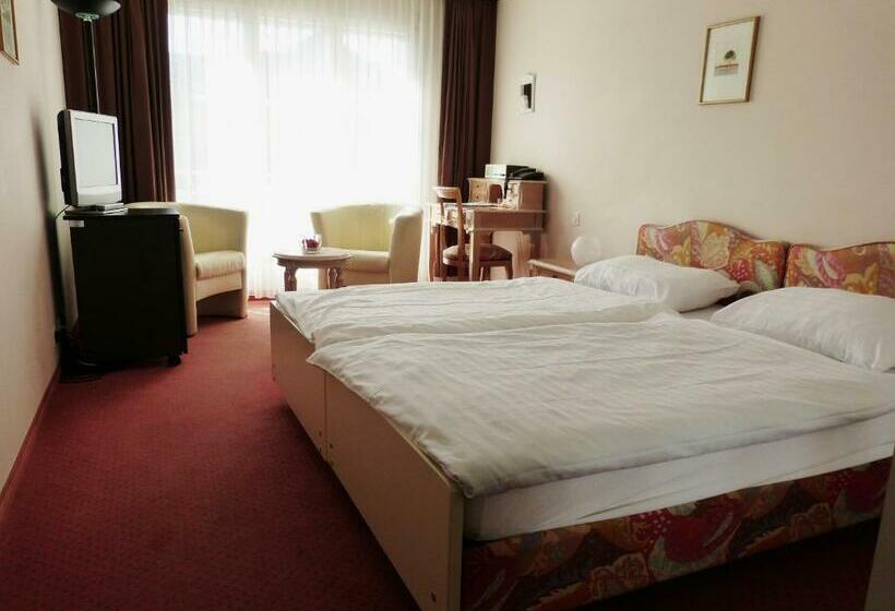 高级大房间, Rigi Vitznau