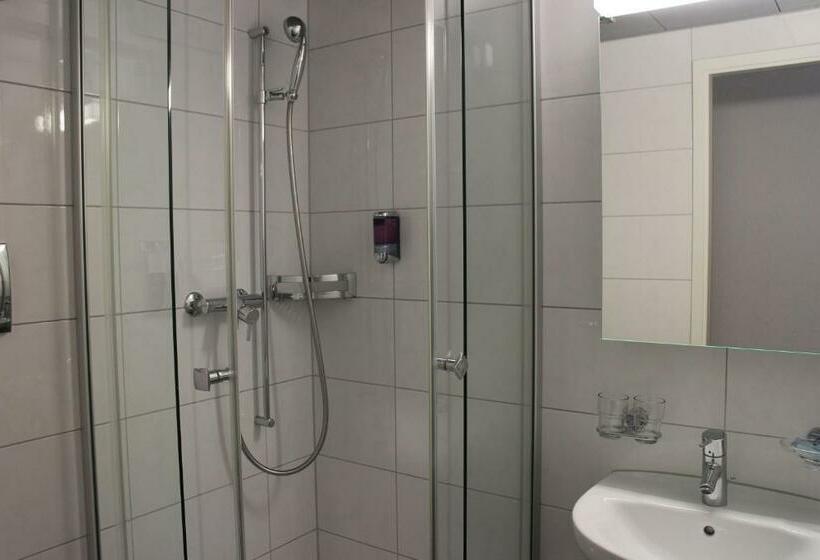 标准间带阳台, Rigi Vitznau