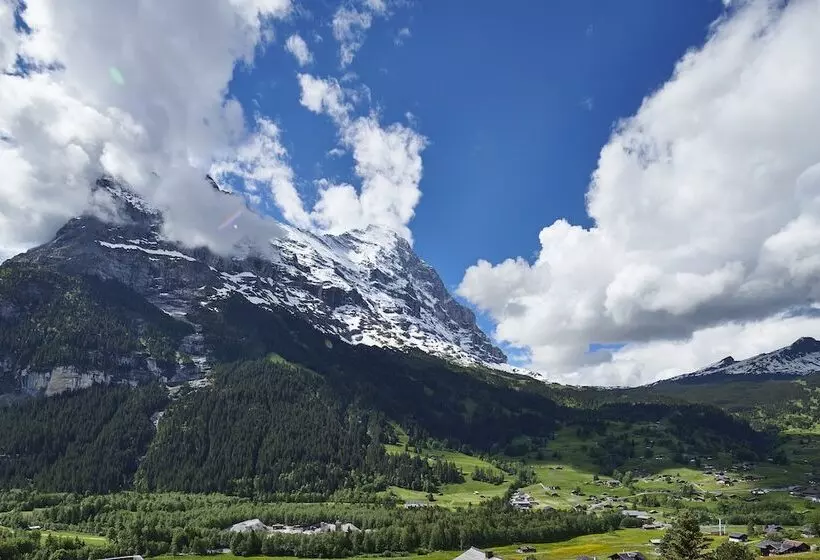 Suite, Spinne Grindelwald
