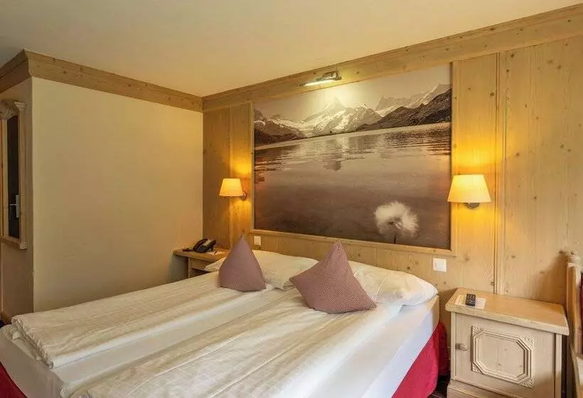 Habitación Estándar Vista Jardín, Spinne Grindelwald