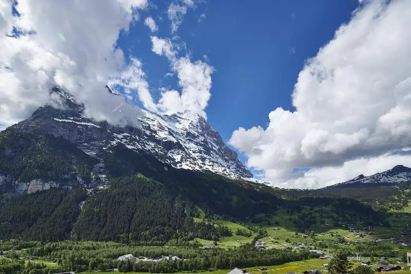 Suite, Spinne Grindelwald