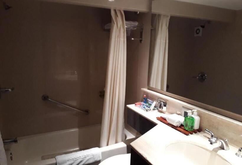 スタンダードシングルルーム, Bogota Plaza