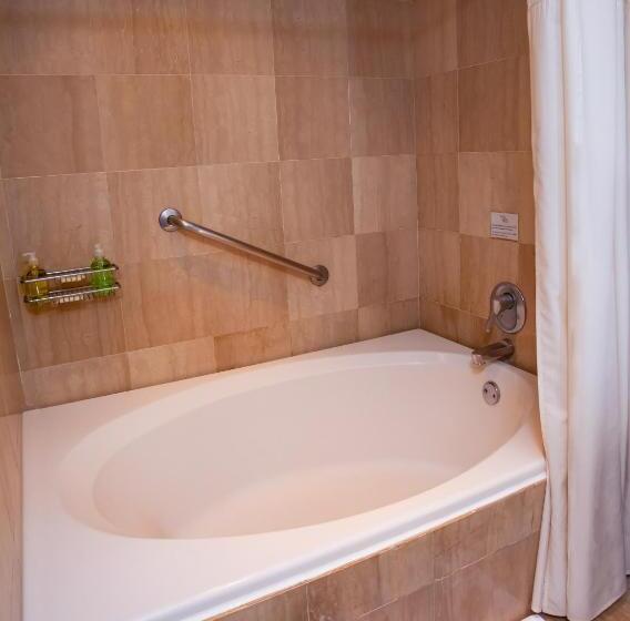 デラックスルーム, Bogota Plaza