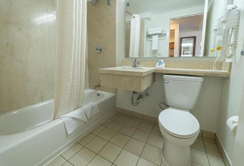 Стандартный Номер Кровать Кинг, Irazú Hotel & Studios