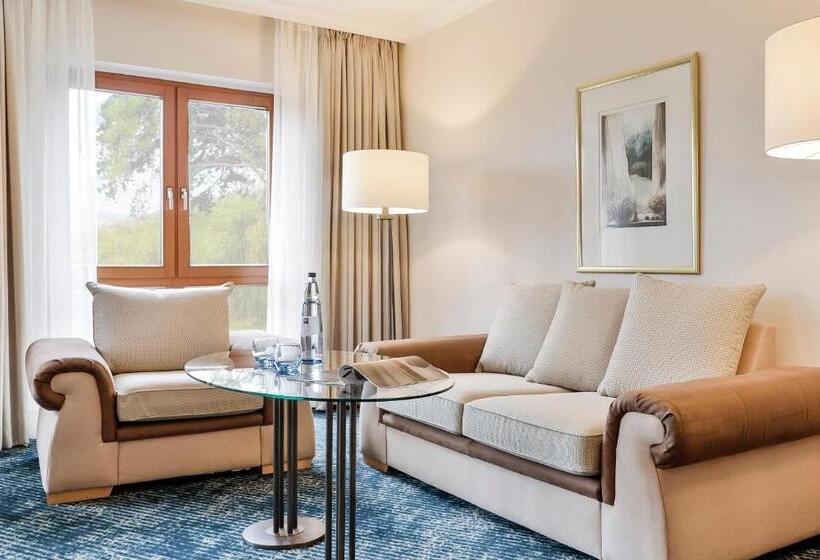 סוויטת ג'וניור, Dorint  Venusberg Bonn