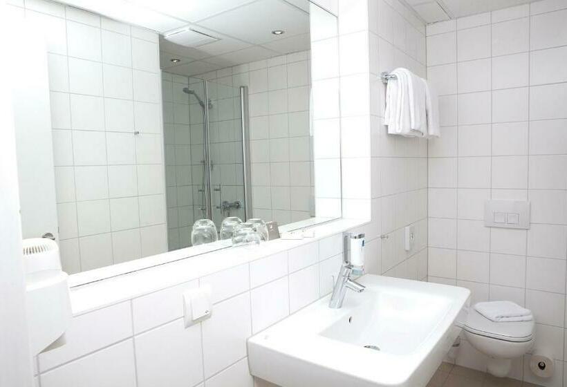 클래식 싱글 룸, Flandrischer Hof