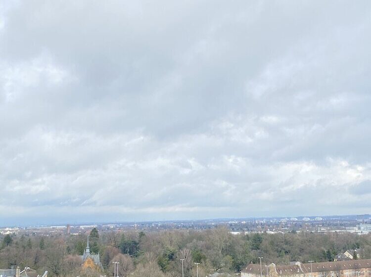 스탠다드 싱글 룸, Hilton Dusseldorf