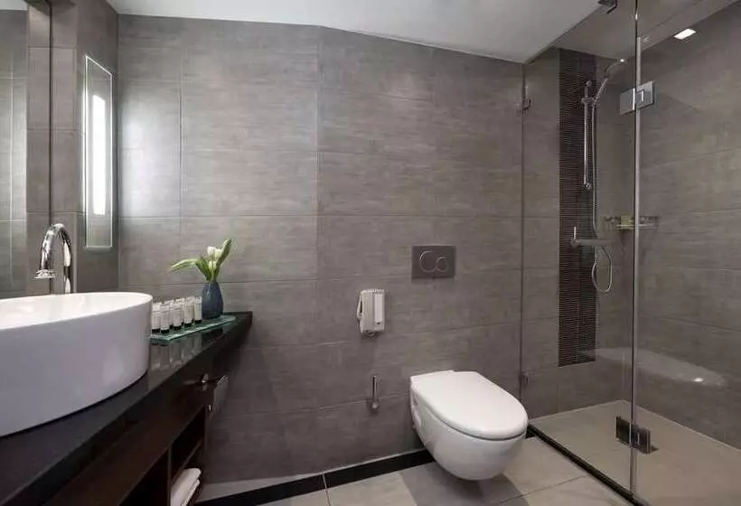 اتاق استاندارد, Hilton Dusseldorf
