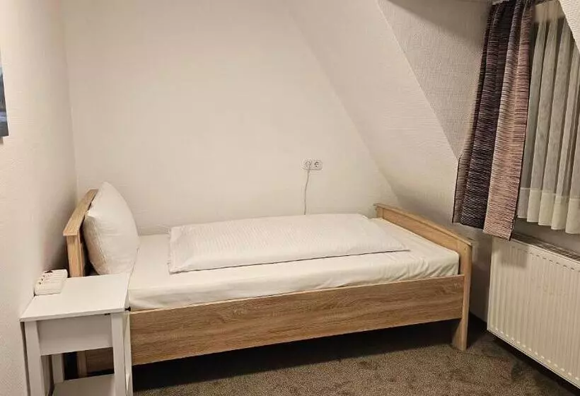スタンダードシングルルーム, Kölner Hof