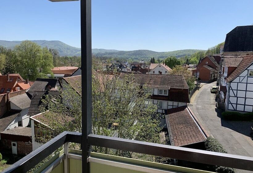 غرفة قياسية فردية, Martina