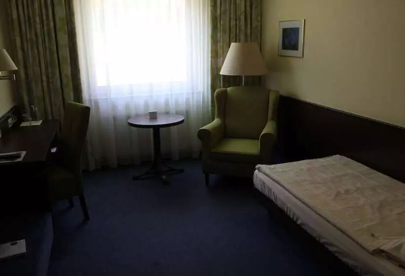 اتاق استاندارد یک نفره, Waldhotel Schäferberg