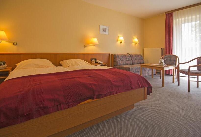 Номер Комфорт Индивидуальный, Wittensee Schutzenhof