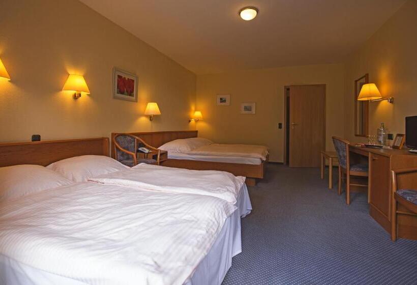 Номер Стандарт Трехместный, Wittensee Schutzenhof